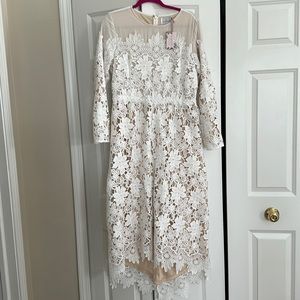 Dainty Jewells maxi lace dress